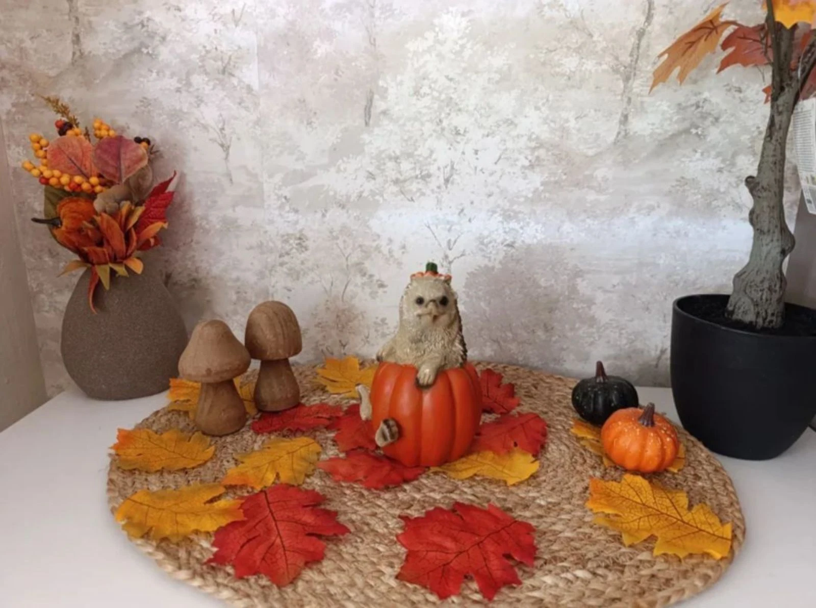 Calabaza con erizo